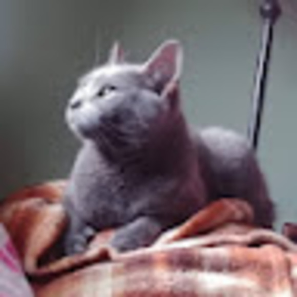 Meet your Posher, Josalyn - Picture 1 of 1